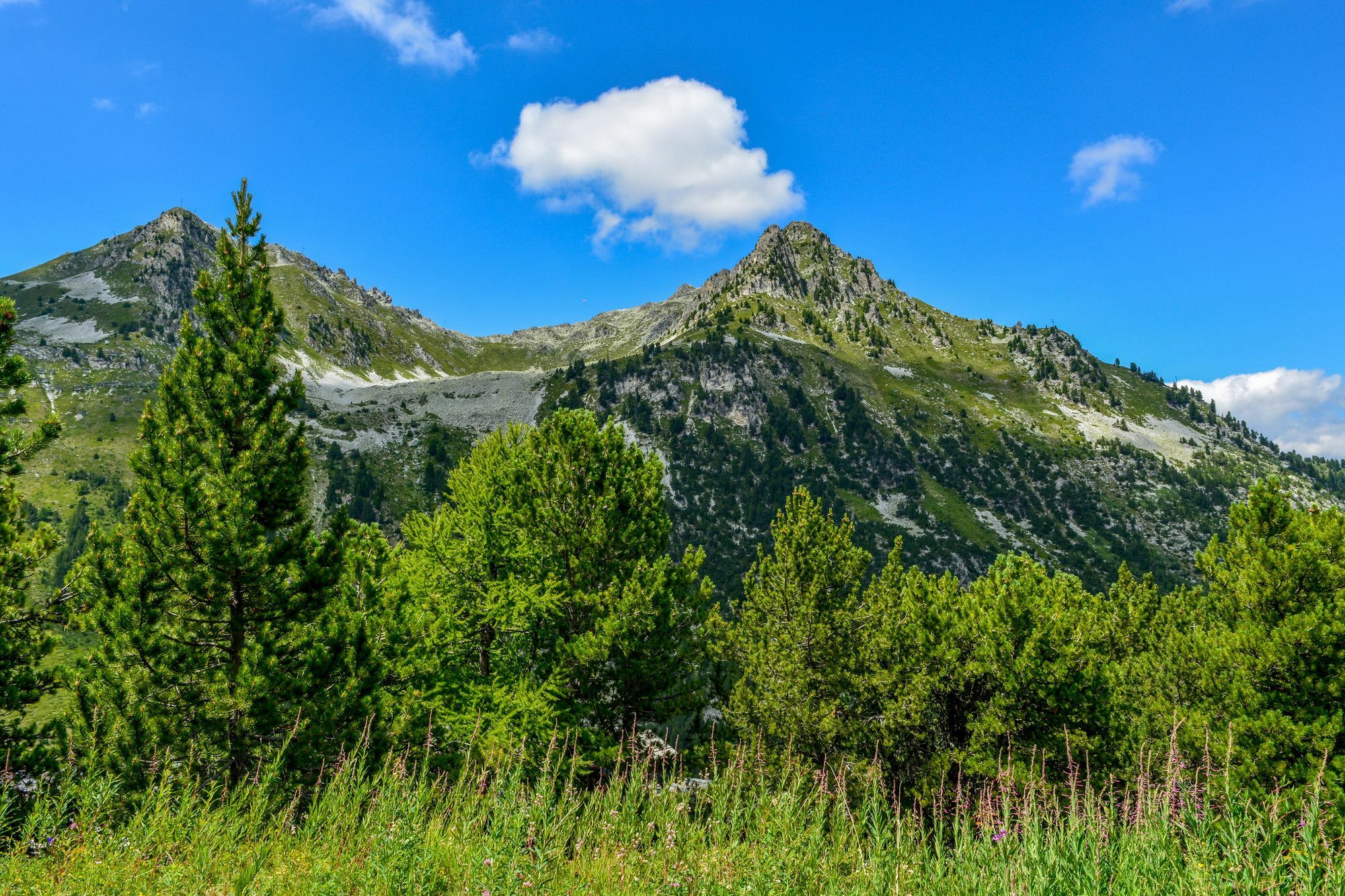Chalet Des Neiges : La Cime Des Arcs Les Arcs  Экстерьер фото